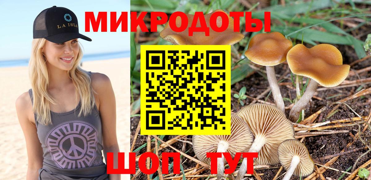 продажа наркотиков  Псилоцибиновые грибы мухоморы  Вход с VPN  Галлюциногенные грибы мухоморы  Острогожск 